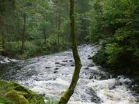 Wolfsteiner Ohe nahe Ringelai - Buchberger Leite